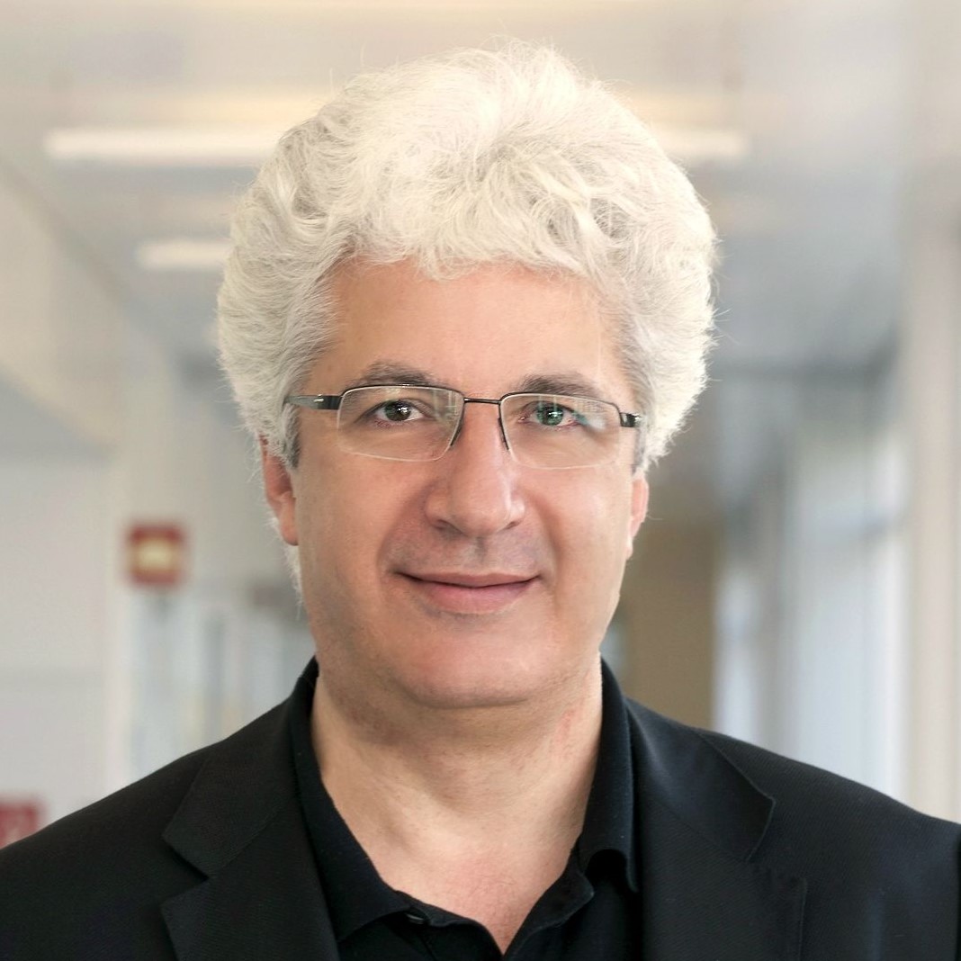 Photo of Maia Chankseliani, PhD